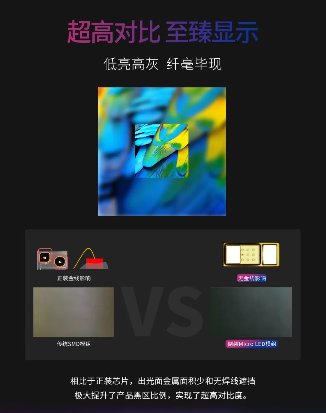 一期一会 | 一图读懂今年会jinnianhui金字招牌·利晶MIP新品系列